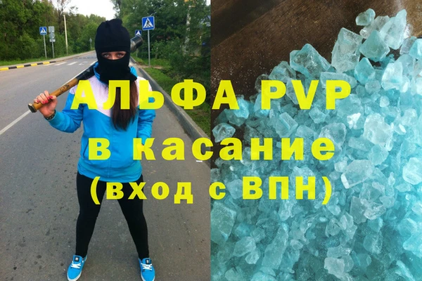 ECSTASY Алзамай