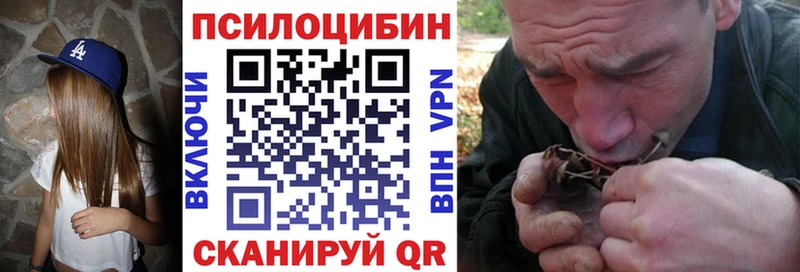Псилоцибиновые грибы мицелий  наркошоп  Отрадное 